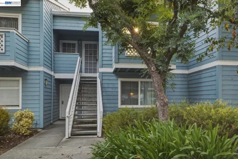1511 Four Oaks Cir