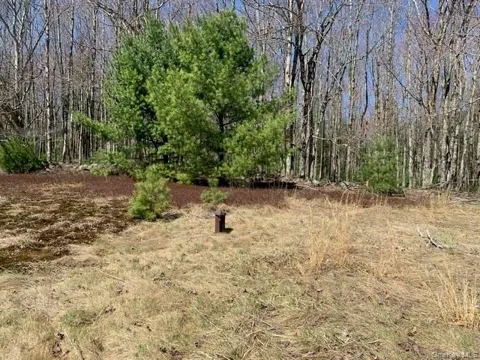 255 Wild Turnpike