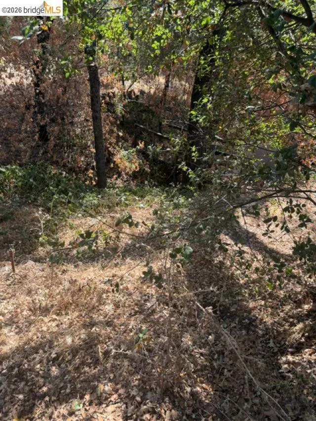 19909 Mono Way Sonora, CA 95370