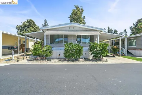 2166 Dalis Dr.