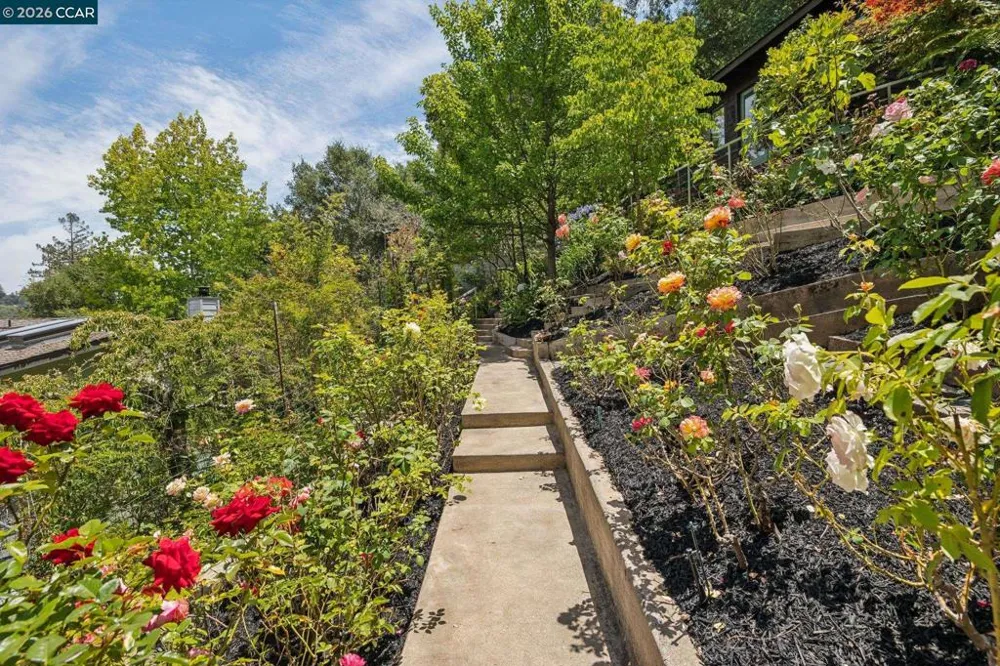 6 Monte Vista Rd Orinda, CA 94563
