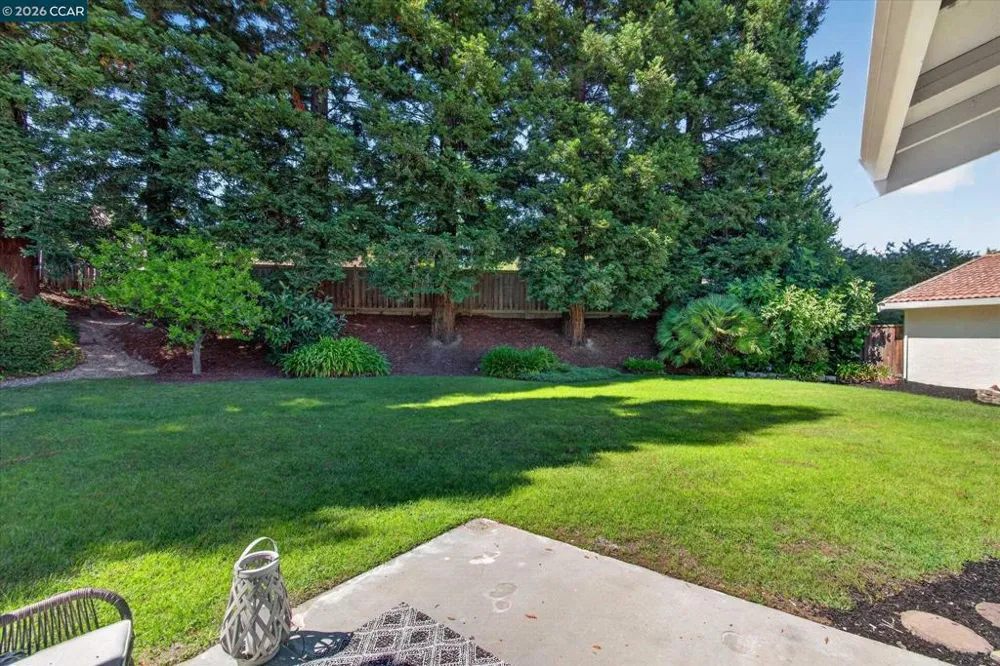 45 Longhorn Ct. San Ramon, CA 94583