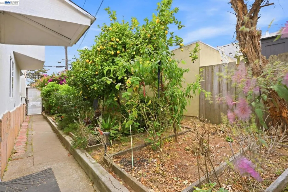 147 San Benito Ave San Bruno, CA 94066