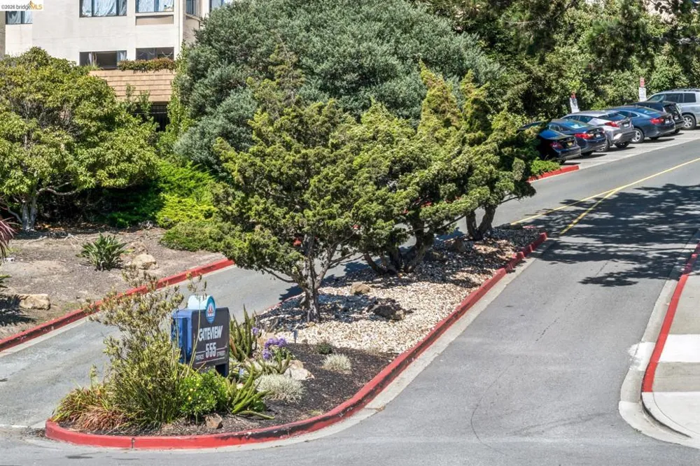 555 Pierce St #1125 Albany, CA 94706