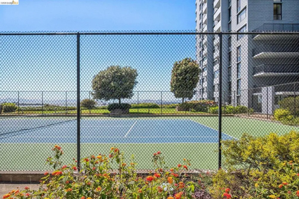 555 Pierce St #1125 Albany, CA 94706