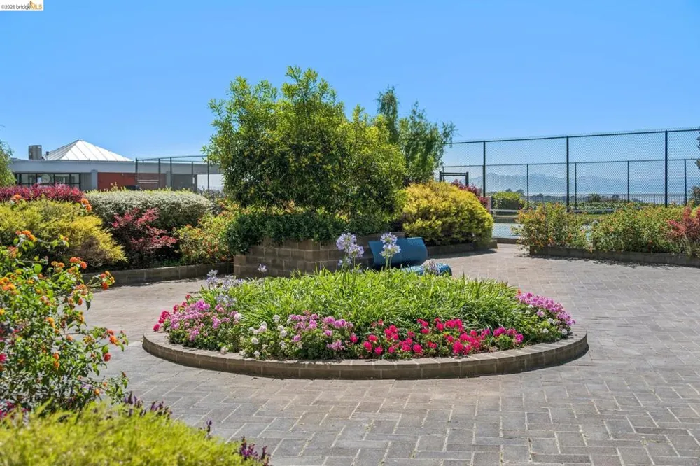 555 Pierce St #1125 Albany, CA 94706