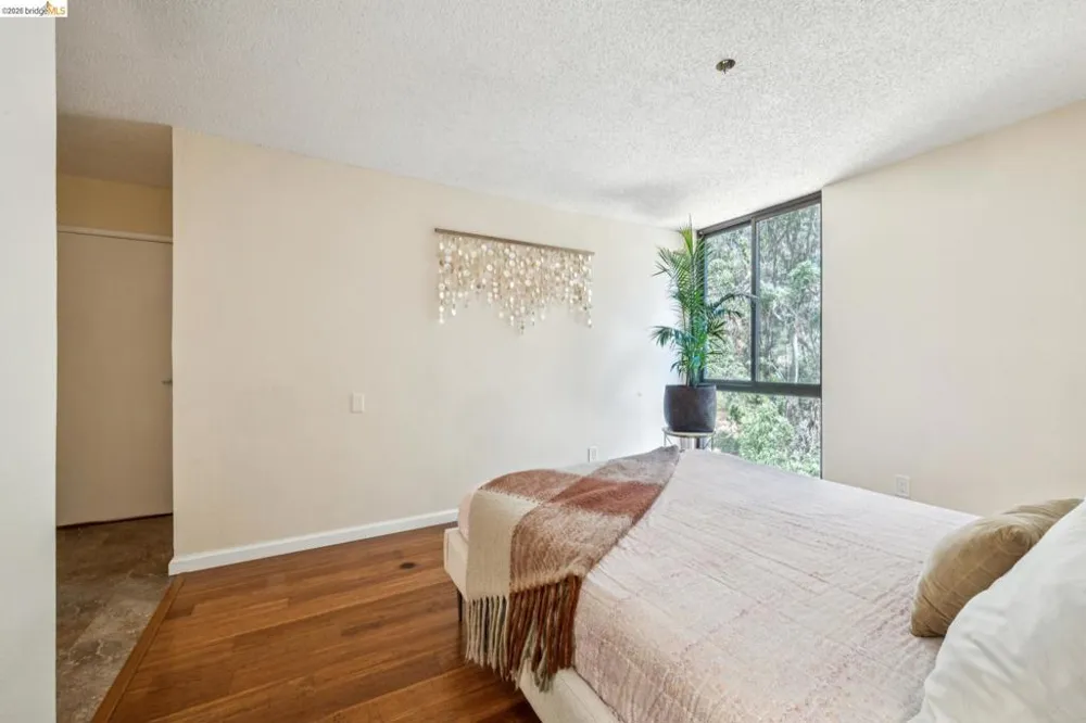 555 Pierce St #1125 Albany, CA 94706
