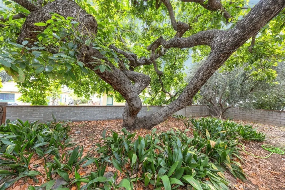 234 Magnolia Monrovia, CA 91016