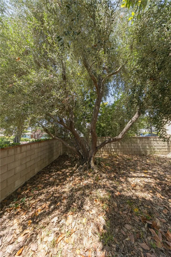 234 Magnolia Monrovia, CA 91016