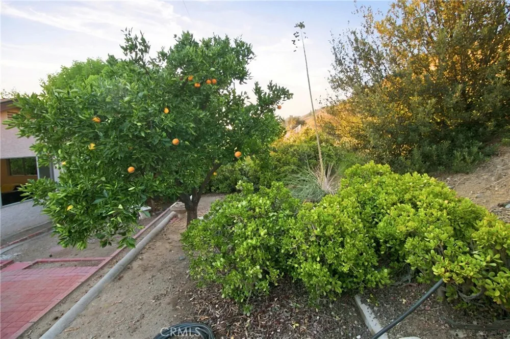 1818 Hilton Drive Burbank, CA 91504