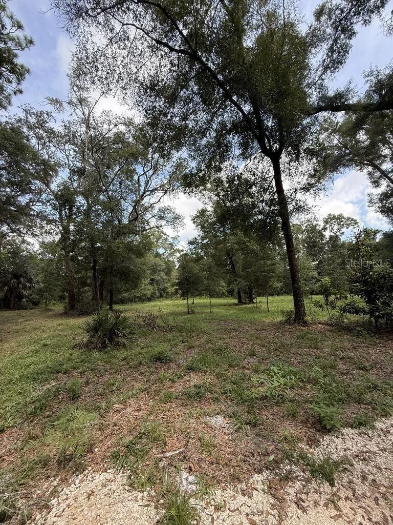 8431 NW 60 AVENUE Chiefland, FL 32626