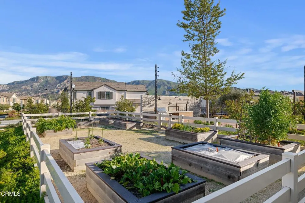 1951 Meyer Court Santa Paula, CA 93060