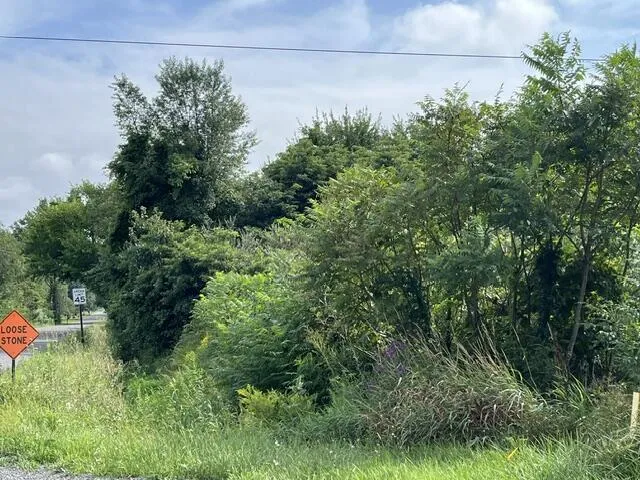 Little Paw Paw Lake Road Coloma, MI 49038