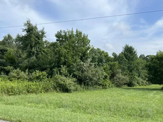 Little Paw Paw Lake Road Coloma, MI 49038