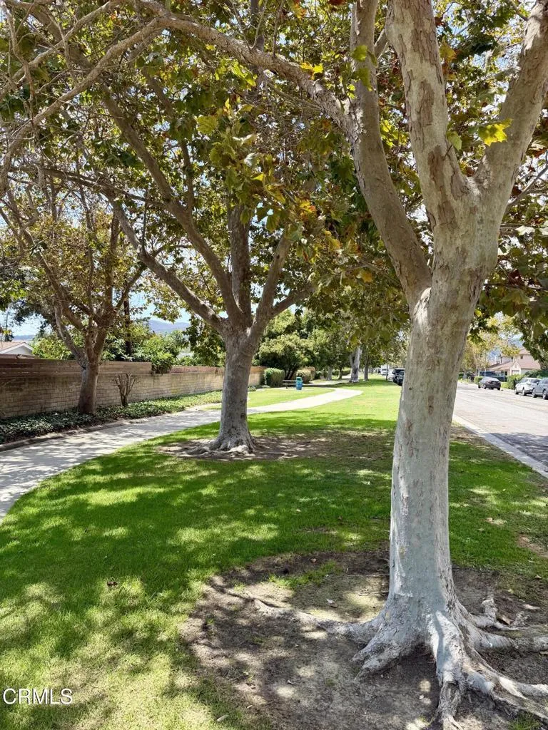 421 E Shoshone Street Ventura, CA 93001