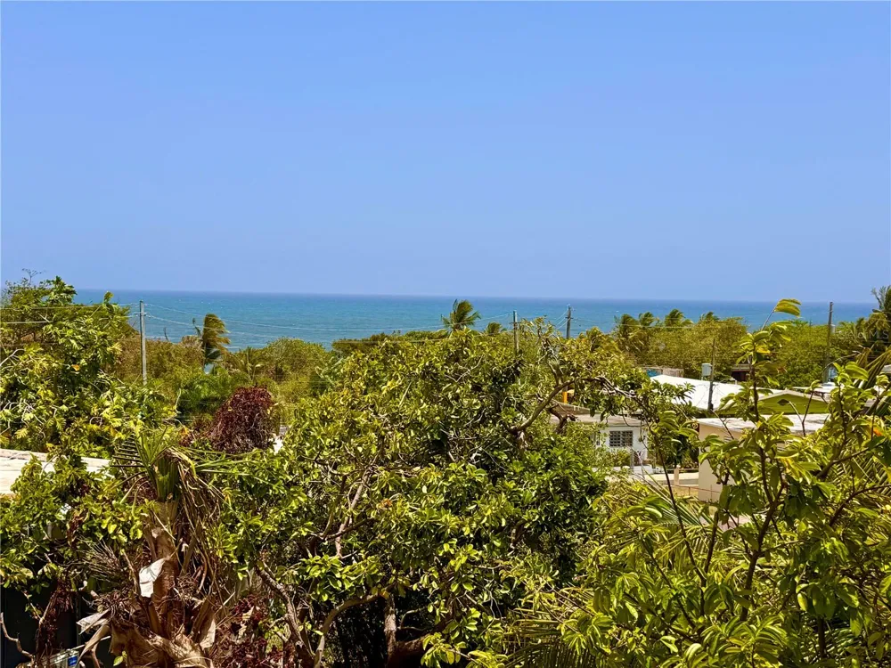 Address Not Shown Maunabo, PR 00707