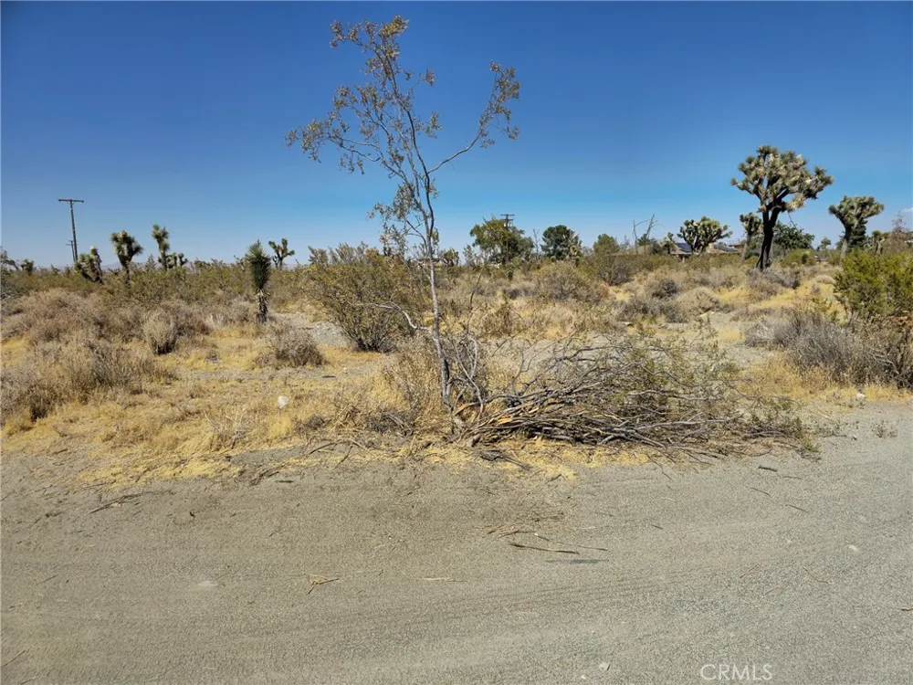 Marco Road Phelan, CA 92372