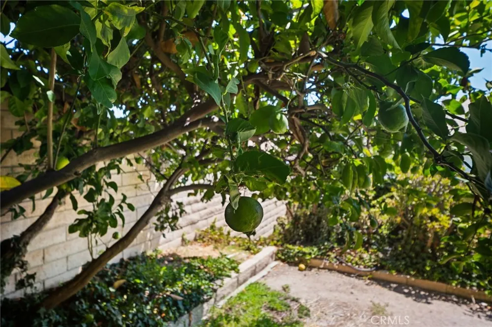 1939 Fernridge San Dimas, CA 91773
