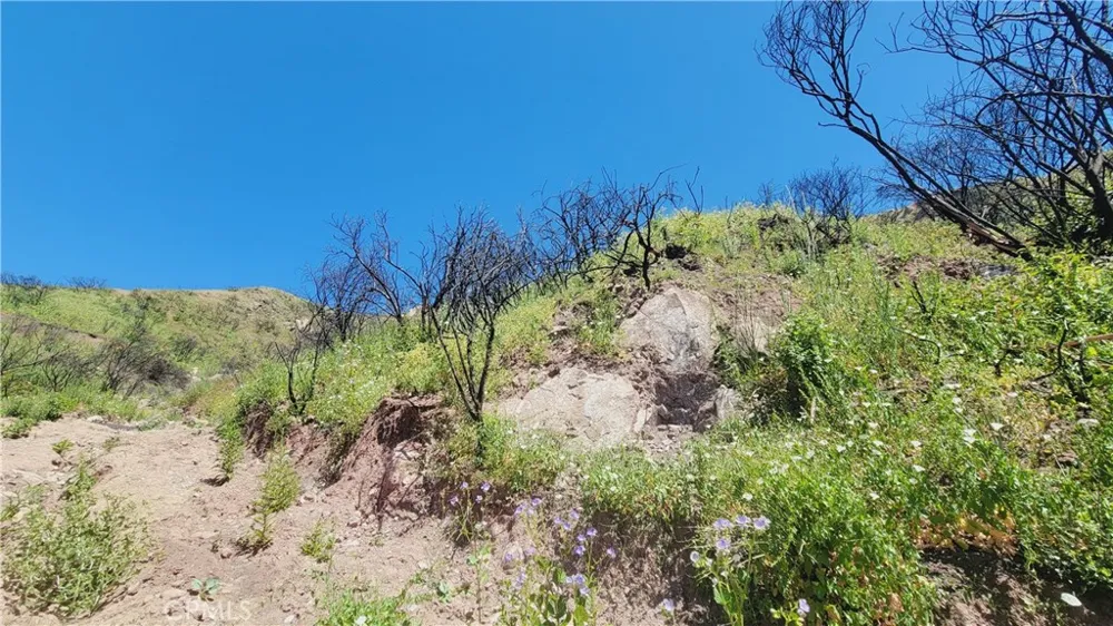 Piuma Road Malibu, CA 90265