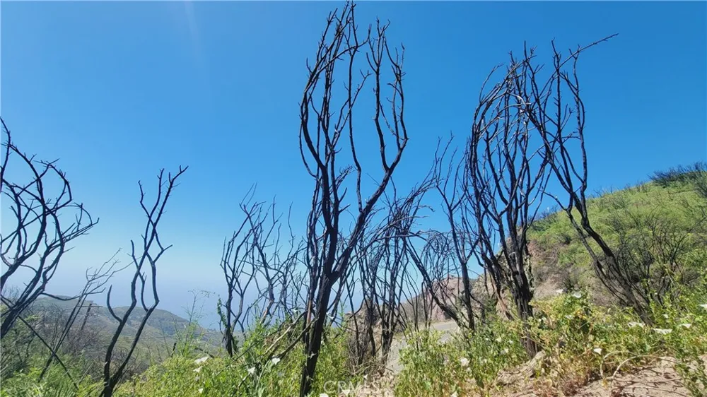 Piuma Road Malibu, CA 90265
