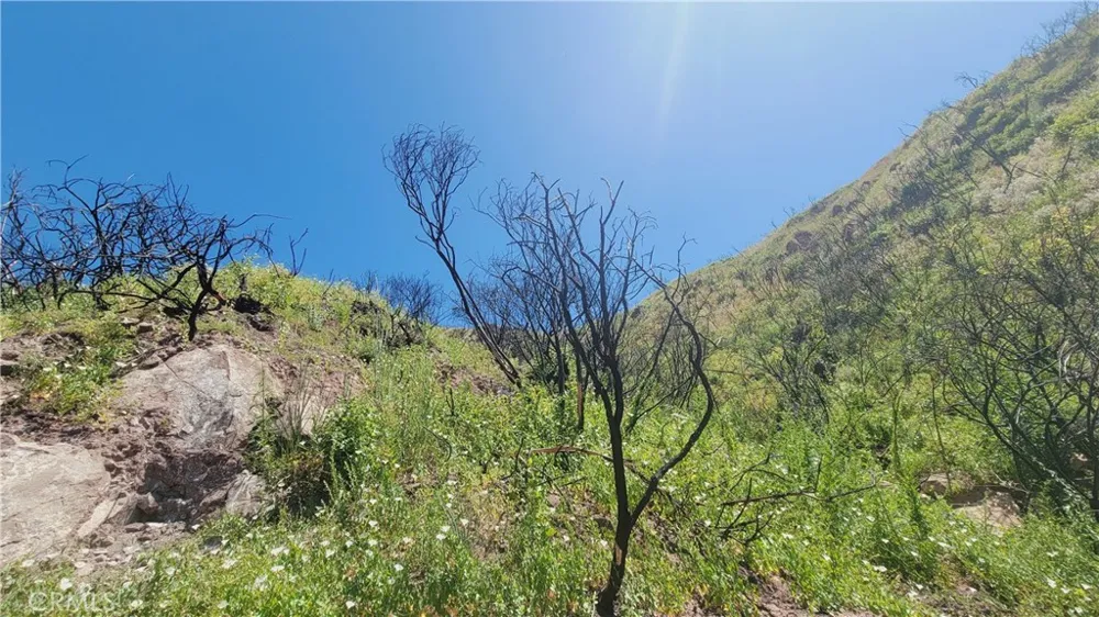 Piuma Road Malibu, CA 90265