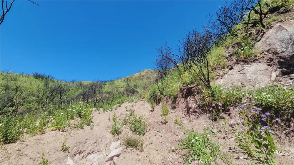 Piuma Road Malibu, CA 90265