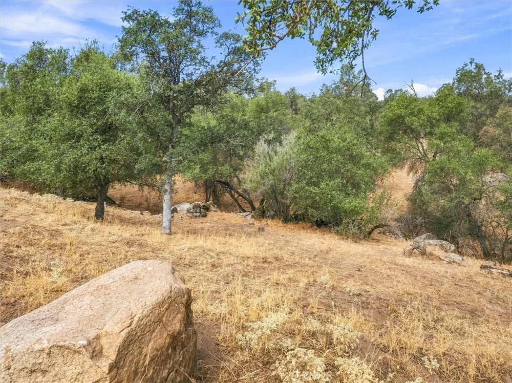 30100 Stetson Coarsegold, CA 93614