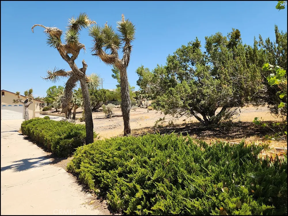9425 Mountain Pinon Hills, CA 92372