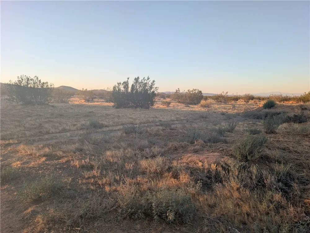 Claymine Rd #1 Edwards, CA 93523
