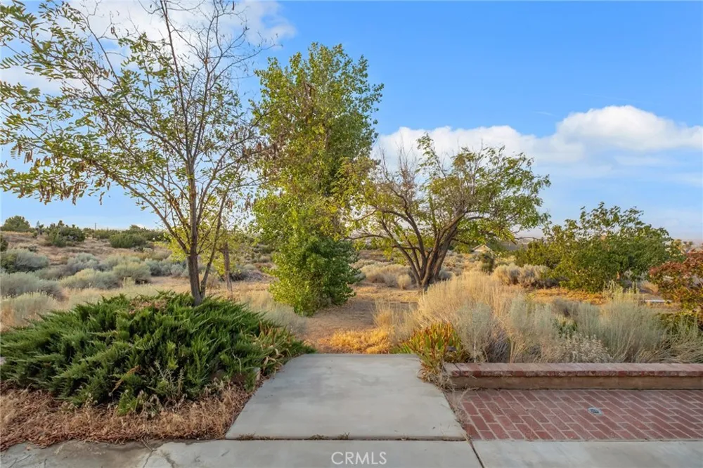3230 Silver Ridge Pinon Hills, CA 92372