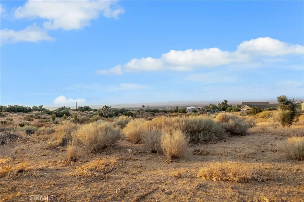 3230 Silver Ridge Pinon Hills, CA 92372