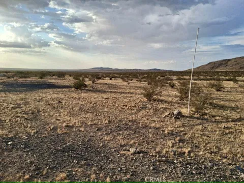 Mustang Trail. 042020210