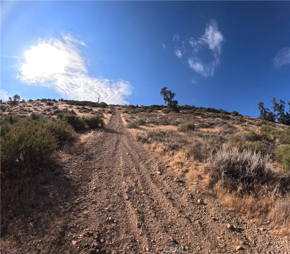 8243 Simson Pinon Hills, CA 92372