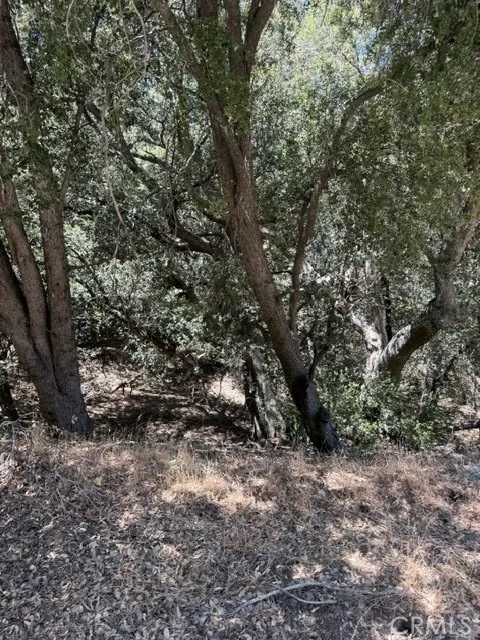 22301 Bernina Way Tehachapi, CA 93561