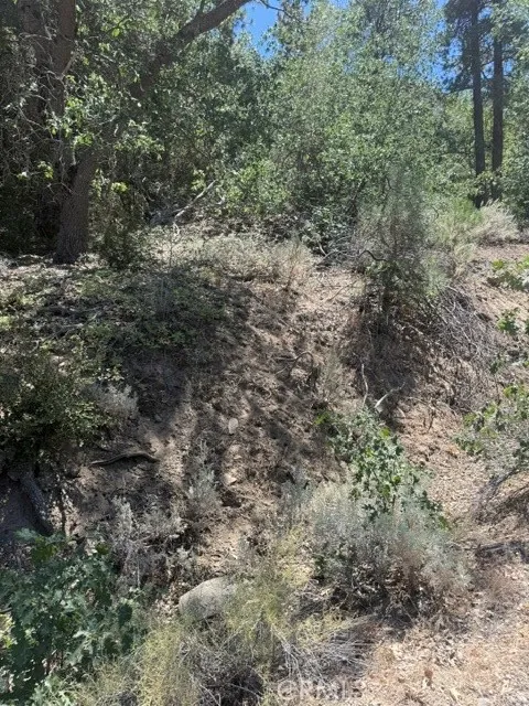 22301 Bernina Way Tehachapi, CA 93561