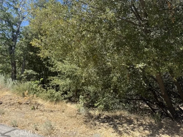 22301 Bernina Way Tehachapi, CA 93561