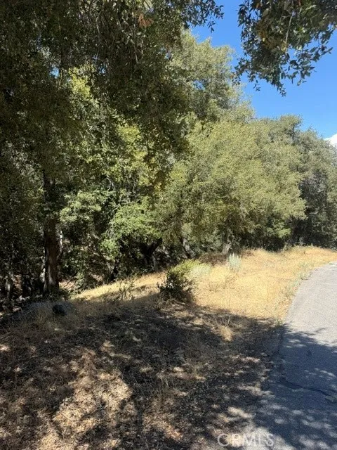 22301 Bernina Way Tehachapi, CA 93561