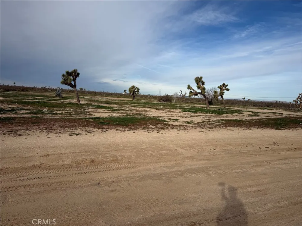 14650 Manada Phelan, CA 92371