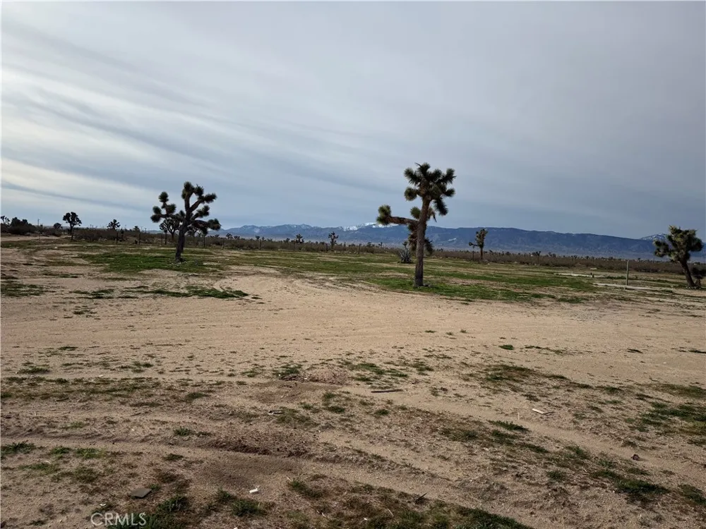 14650 Manada Phelan, CA 92371