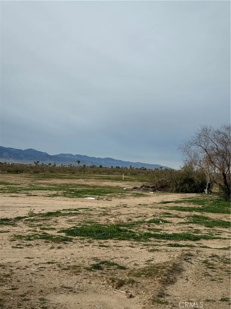 14650 Manada Phelan, CA 92371