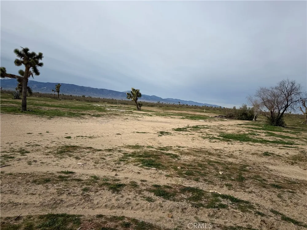 14650 Manada Phelan, CA 92371