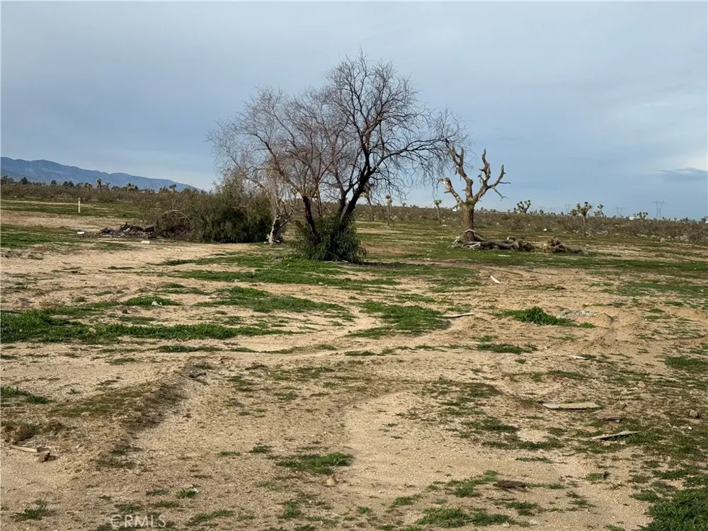 14650 Manada Phelan, CA 92371