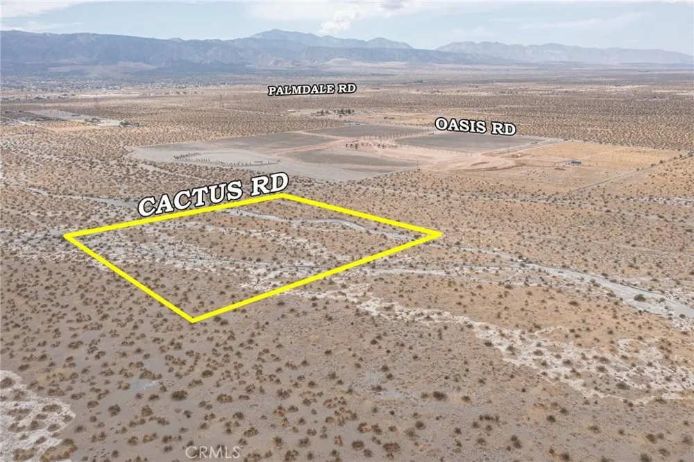 31001214 Cactus Road Pinon Hills, CA 92372