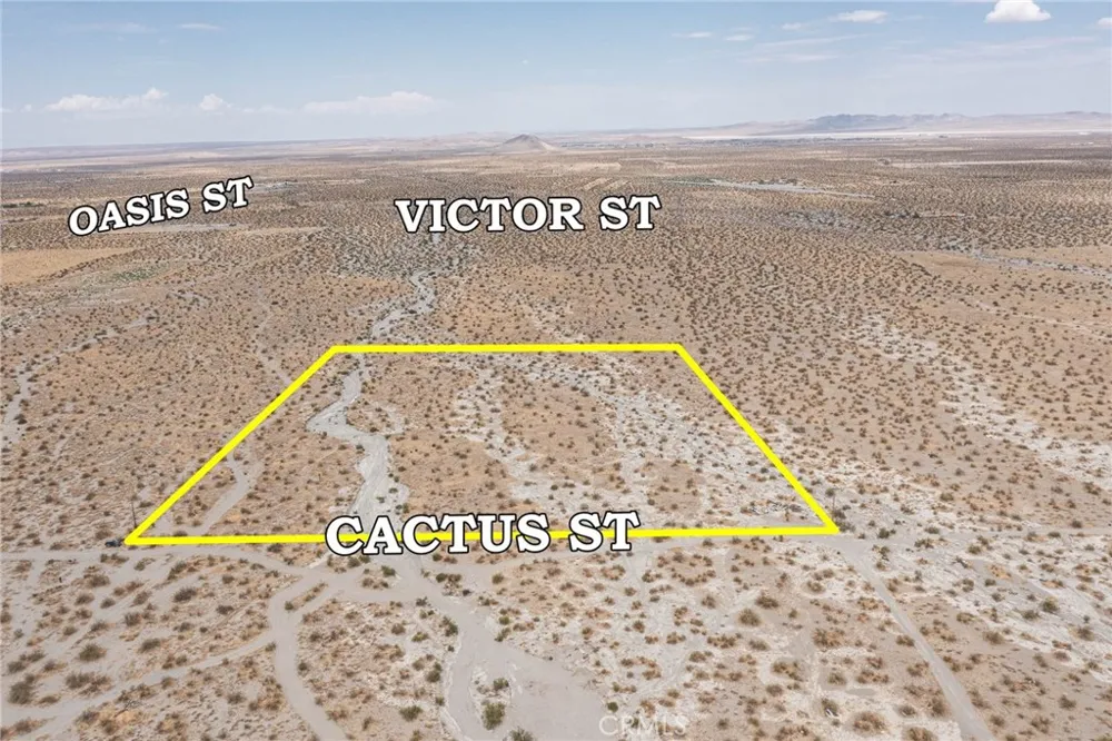 31001214 Cactus Road Pinon Hills, CA 92372