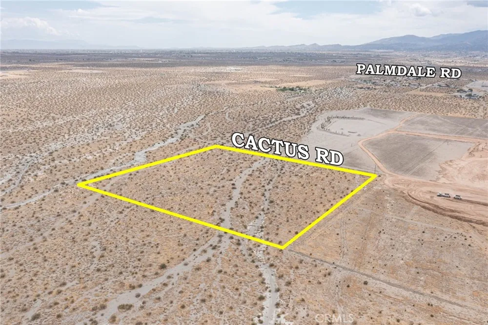 31001215 Cactus Road Pinon Hills, CA 92372
