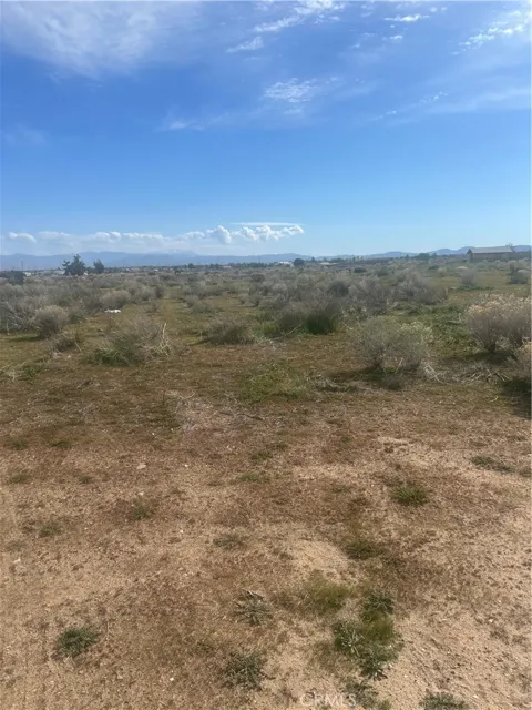 Ca-18