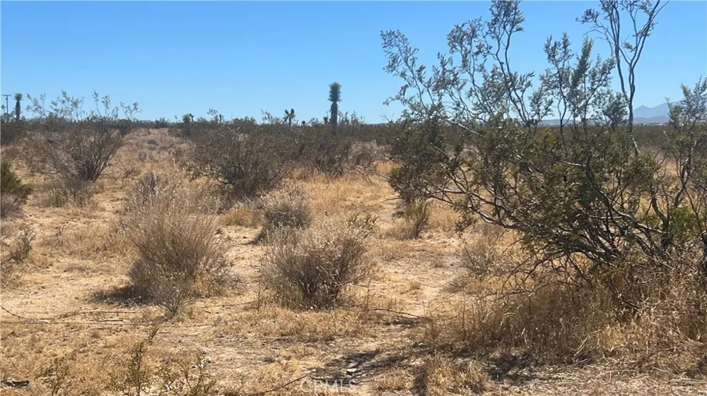Ca-18 Phelan, CA 92371