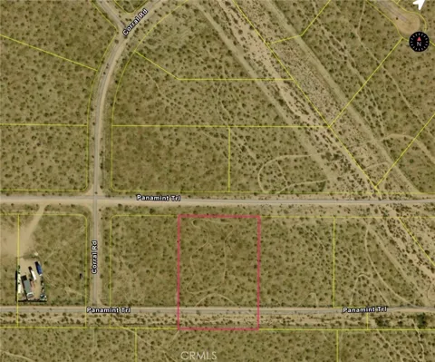 2 Panamint
