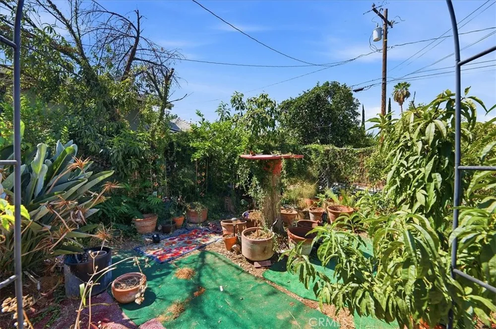 524 University Place Redlands, CA 92374