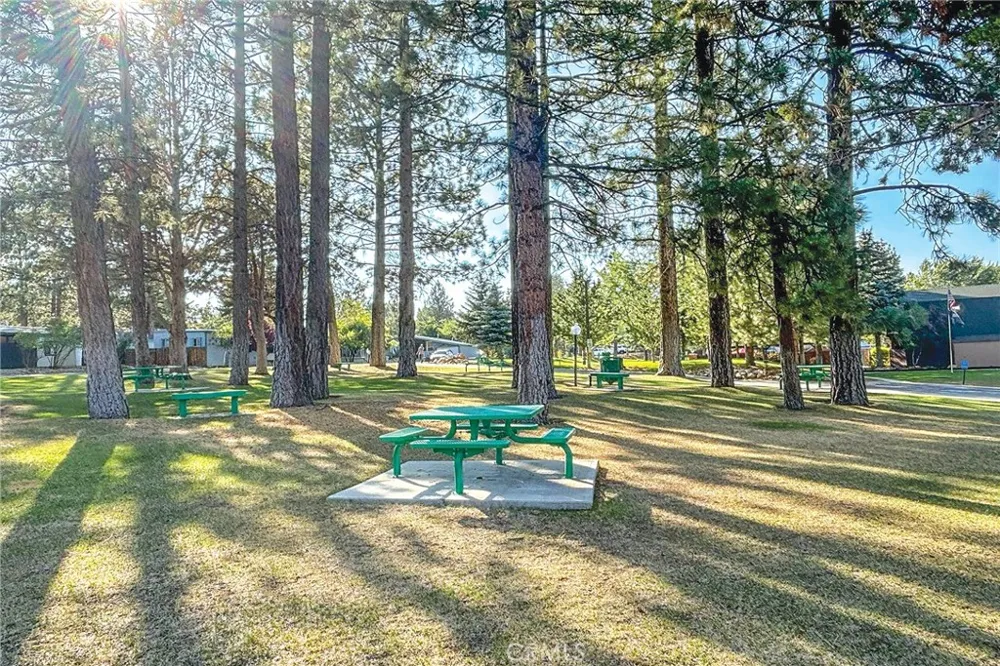 391 Montclair Drive #9 Big Bear City, CA 92314